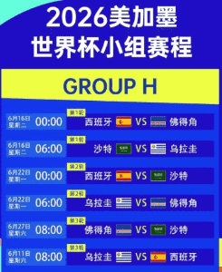 世界杯小组赛战报